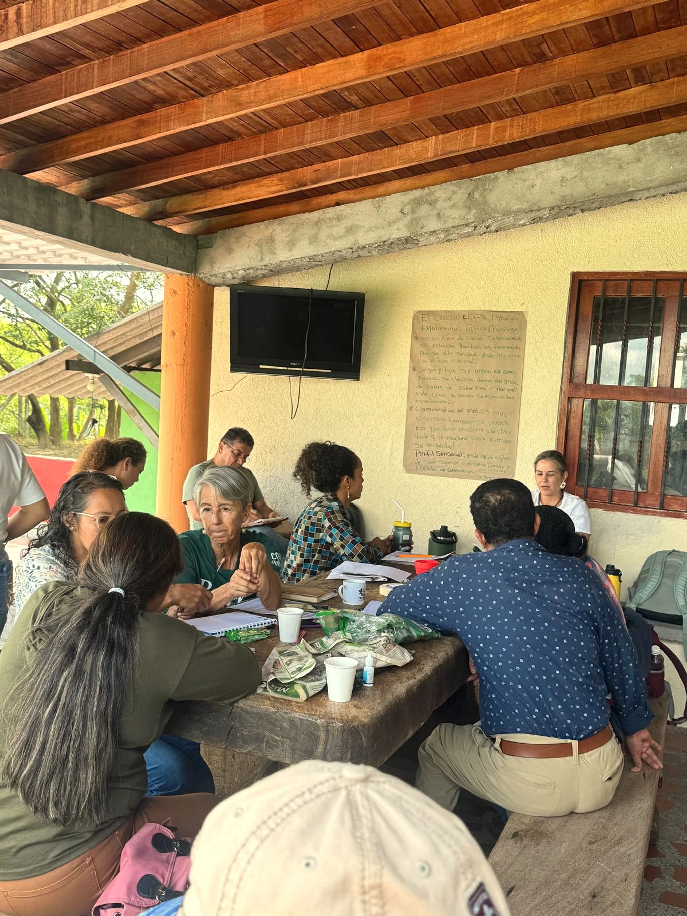 EET-96 cacao variety training session at Finca La Tesalia — agronomic instruction in the field, beans and pods spread for inspection.